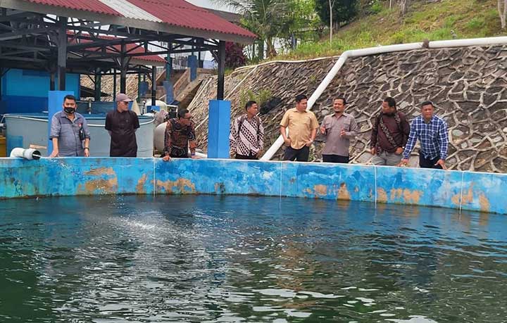 Usai Kunker ke BPBLB, Harianto Minta Pemprov Babel Tingkatkan Budidaya Ikan Laut