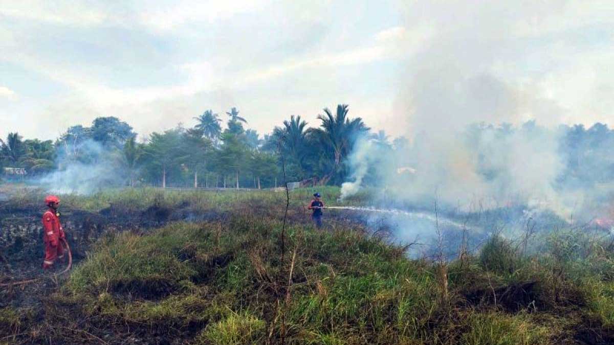 Lahan Terbakar di Jalan Air Bulo, BPBD Belitung Gerak Cepat Padamkan Api