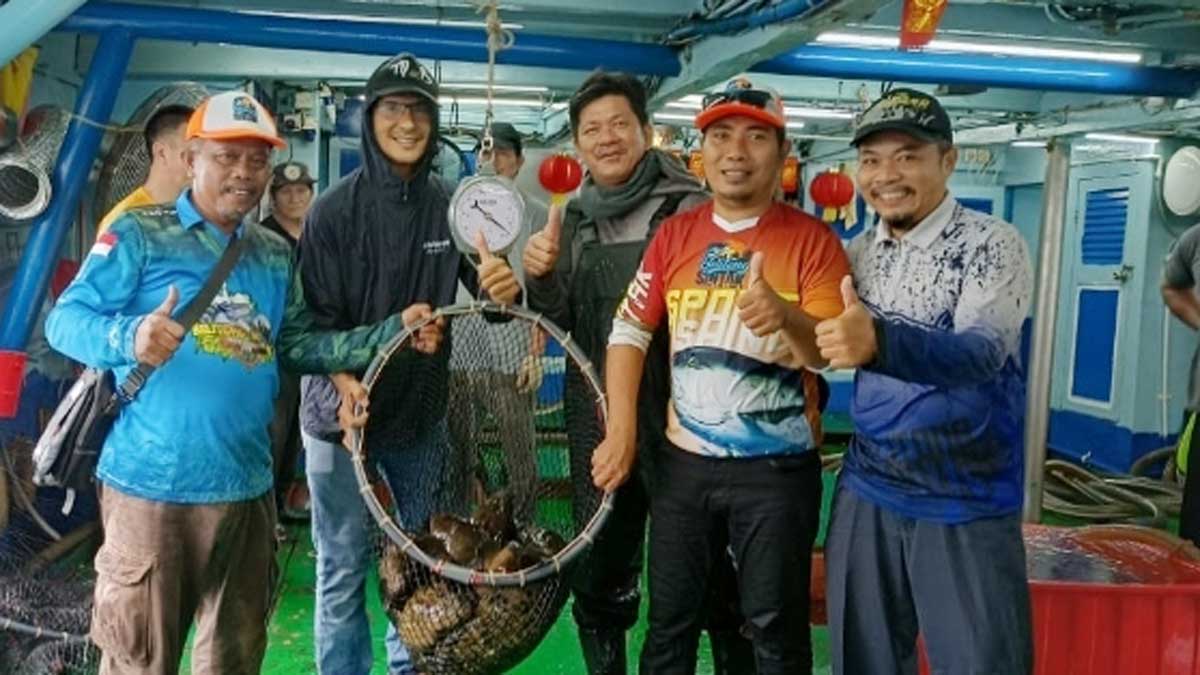 Ekspor 100 Ton Kerapu Hidup Belitung Mandek Sepanjang 2025, Ini Penyebabnya