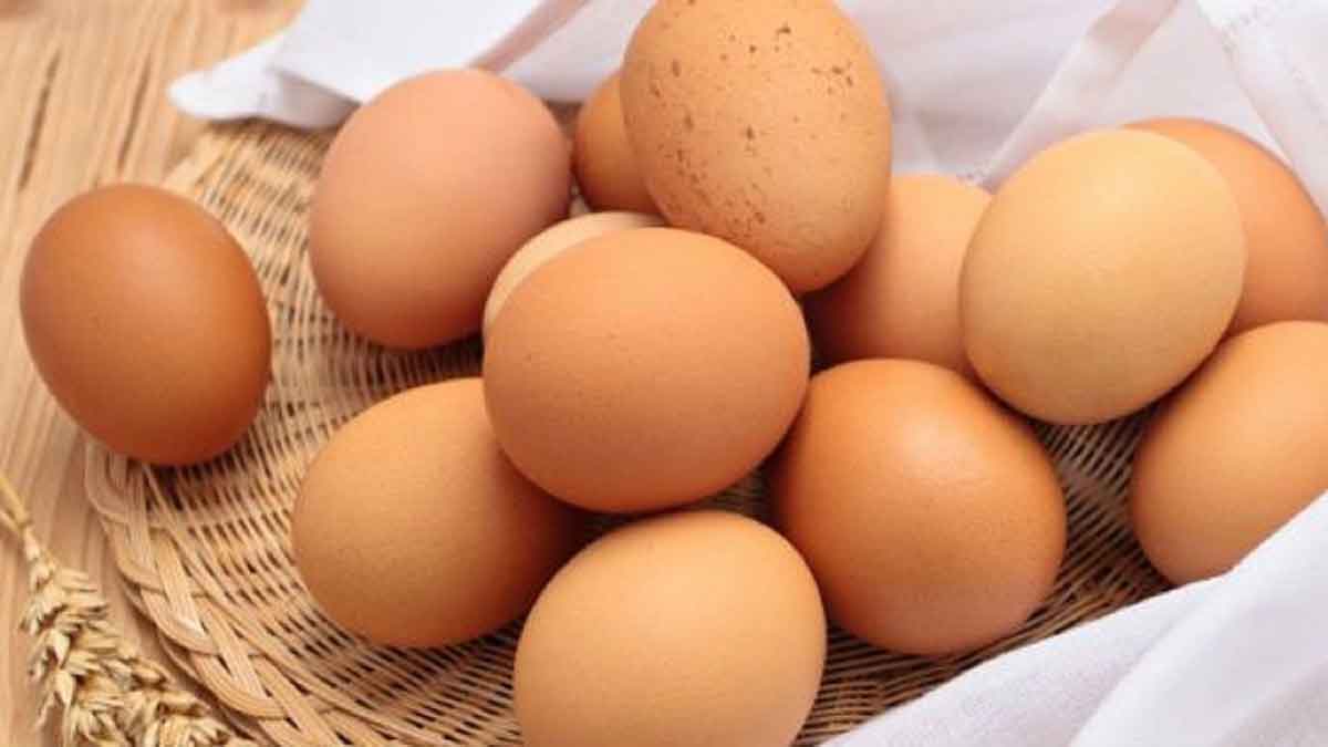 Simak! 5 Cara Memilih Telur yang Masih Baru dan Segar, Emak-emak Wajib Tahu Ciri-cirinya