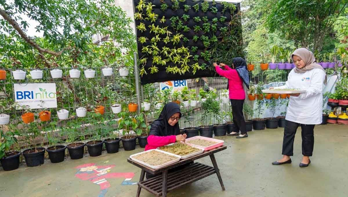 BRI Diakui Lewat Program BRInita, Bangun Urban Farming dan Berdayakan Perempuan