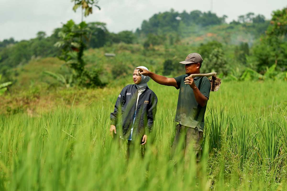 649 Ribu UMKM Sukses Dapat KUR BRI 2025, Pinjaman Rp100 Juta Tanpa Jaminan, Proses Cepat Cicilan Ringan