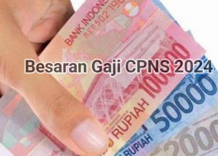 Berapa Gaji CPNS 2024? Ini Hitungan Gaji Pertama Sesuai Golongan