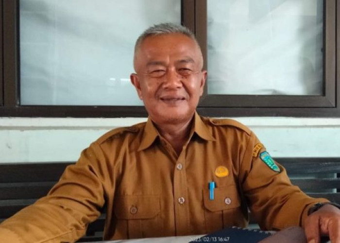 Kepala DKPP Belitung Siapkan Solusi Agar Peternak Ayam Mandiri Tidak Terus Merugi