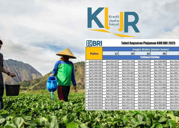 Angsuran KUR BRI 2025: Pinjaman Rp70 Juta Cicilan Mulai 1 Jutaan Syarat Mudah