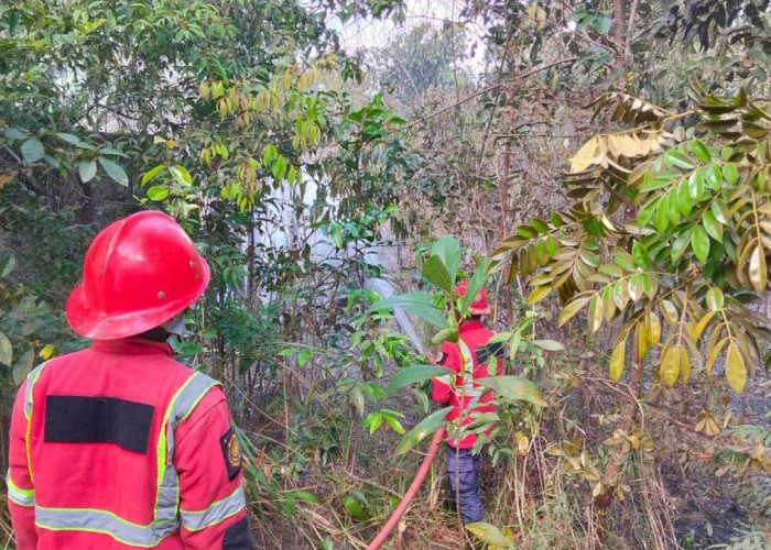 Kasus Karhutla di Belitung Meningkat, BPBD Minta Warga Jangan Bakar Lahan