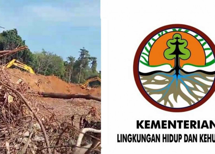 DPRD Belitung Laporkan Aktivitas Tambak Udang Ilegal PT KPN di Pulau Seliu ke Ditjen Gakkum KLHK