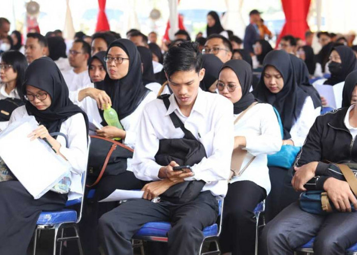 Kemenkeu Umumkan Rekrutmen CPNS 2026, Lowongan Besar untuk Dua Lulusan Ini