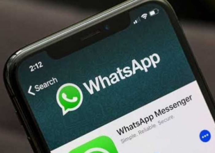 Kirim Pesan di WhatsApp Ternyata Bisa Tanpa Internet, Berikut Ini Cara Setting
