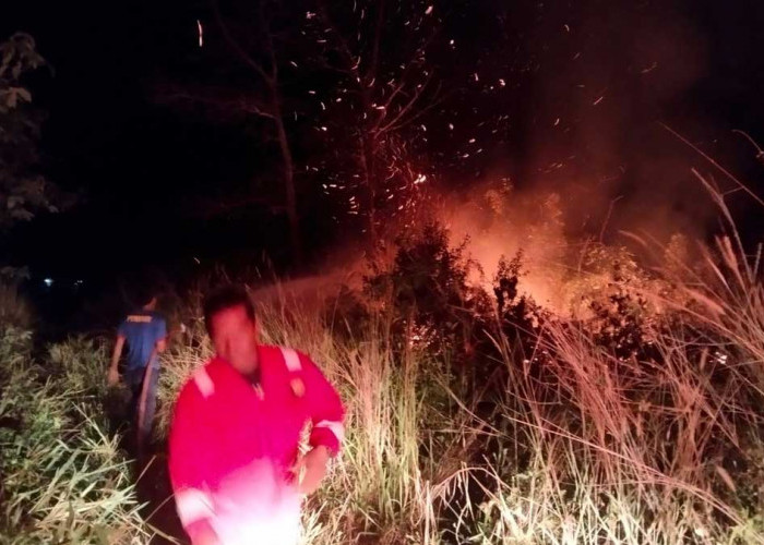 Karhutla Kembali Ancam Belitung, Api Nyaris Merambat ke Perumahan