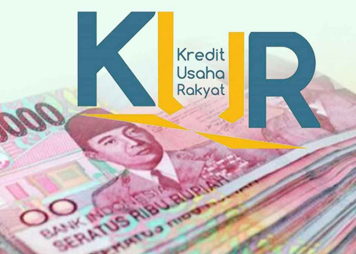 Plafon KUR 2025 Naik Rp500 Juta, UMKM Bisa Ajukan Modal Lebih Besar