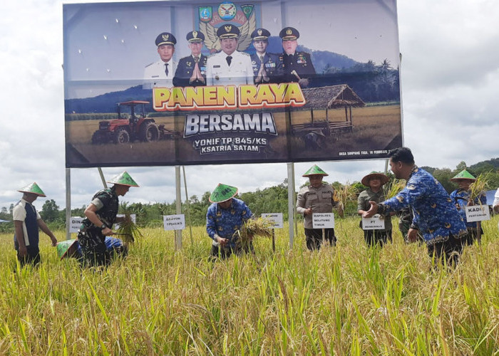 Ketahanan Pangan Beltim Menguat, Yonif 845 Targetkan Pengembangan Lahan Berkelanjutan