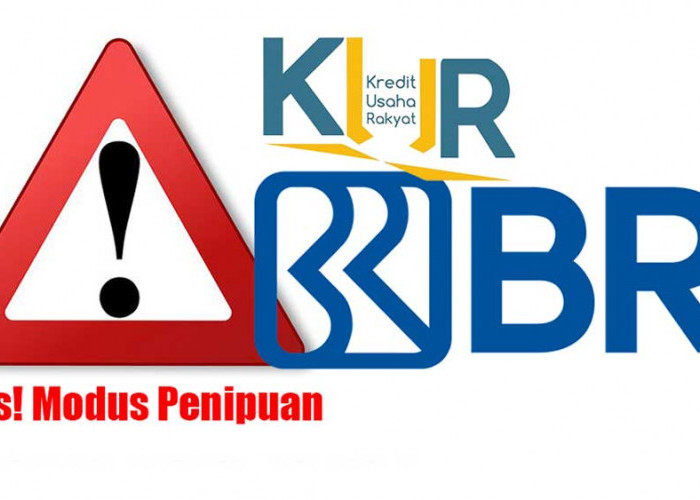 Jangan Tertipu! Kenali Ciri-Ciri Modus Penipuan Berkedok KUR BRI dan Cara Melaporkannya