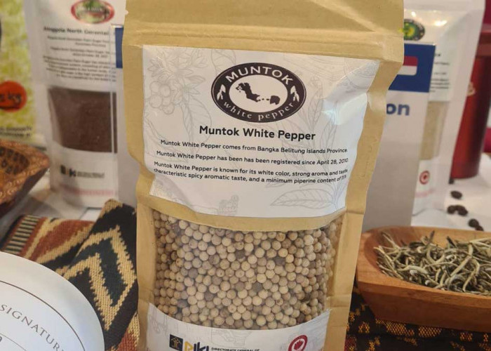 Cita Rasa Khas Lada Babel Bikin Jepang Ketagihan, Ekspor Diproyeksi Terus Naik