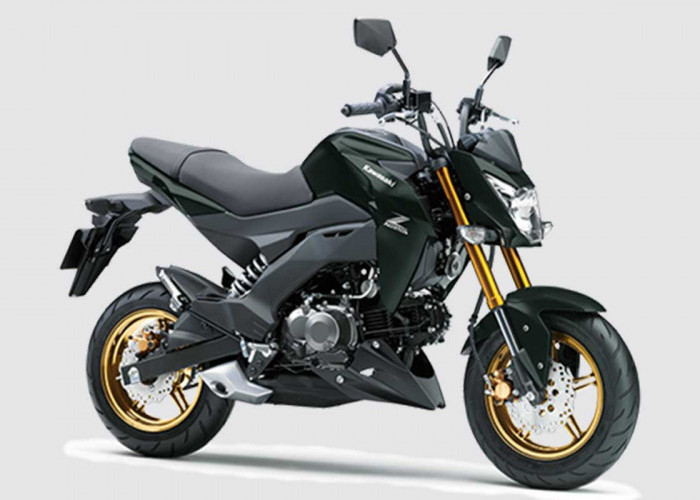 Harga Kawasaki Z125 Pro 2025, Motor Kecil Bergaya Big Bike untuk Rider Urban