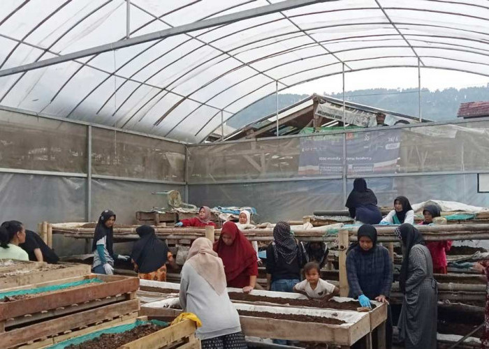 Dari Limbah Jadi Usaha, Nasabah PNM Mekaar Bandung Barat Tumbuh Lewat Sinergi Ultra Mikro BRI