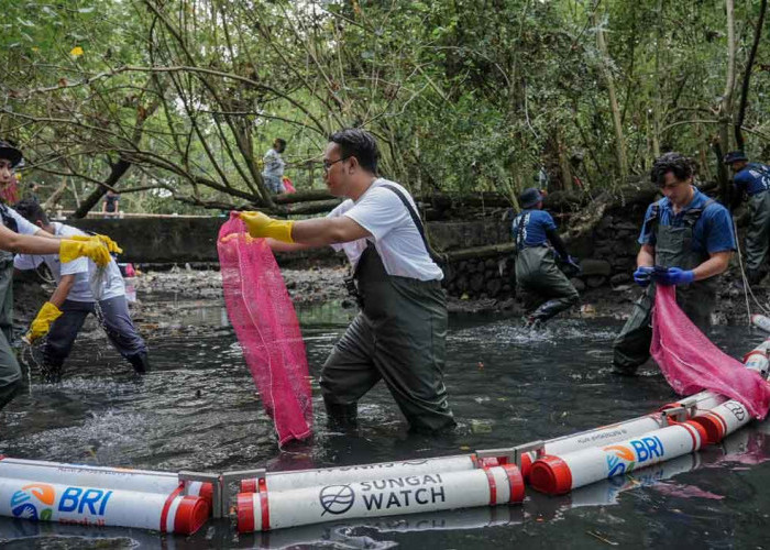 Aksi Nyata BRI di Hari Sungai Nasional, Jaga Ekosistem Lewat Bersih-Bersih dan Edukasi Sampah