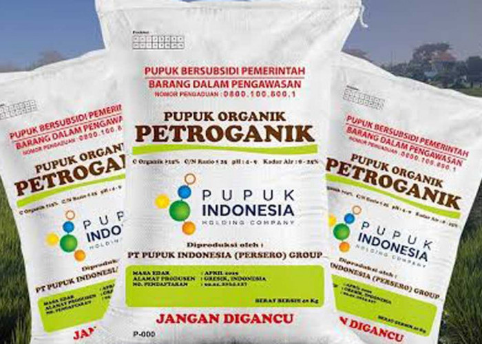 Penyaluran Pupuk Organik Subsidi Babel Tembus 4,4 Juta Kg, Ini Rincian per Daerah