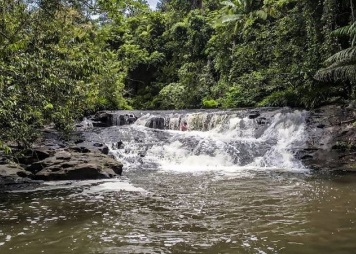 Menikmati Keindahan Alam di Air Terjun Kedang Ipil: Destinasi Wisata Unik di Samarinda