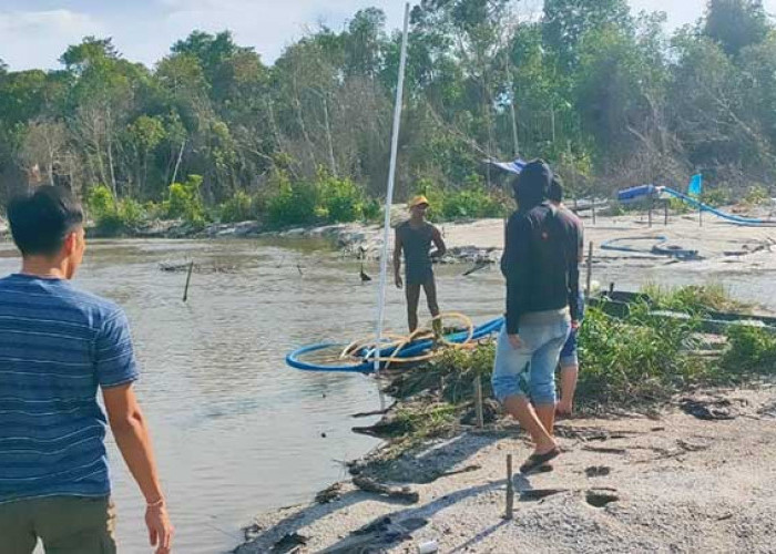 Penambang Timah di Kebun Sawit Aik Rusak Desa Terong Ditangkap Satreskrim Polres Belitung