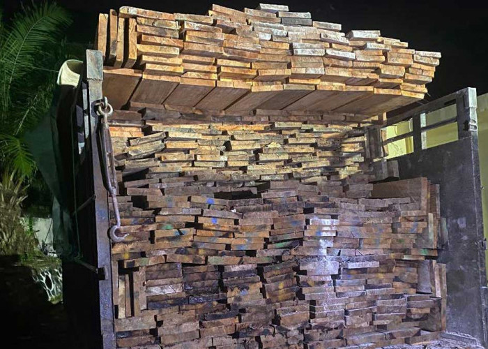Pengiriman 12 Kubik Papan Kayu Digagalkan di Pelabuhan Tanjungpandan, Polisi Selidiki Dokumen