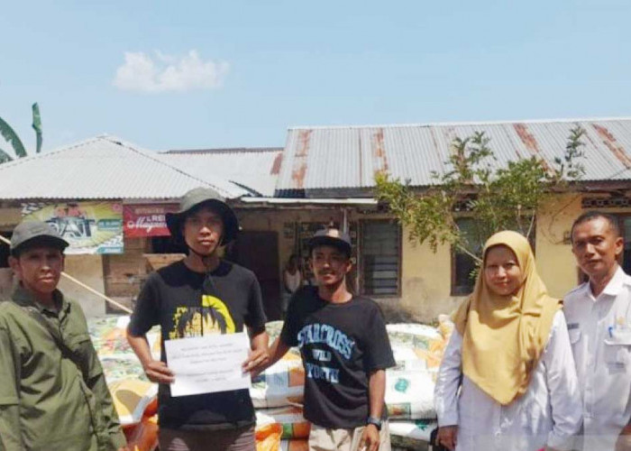 Bantuan Pupuk Organik Petani Lada Belitung, 36,8 Ton Disalurkan untuk 9 Kelompok Tani
