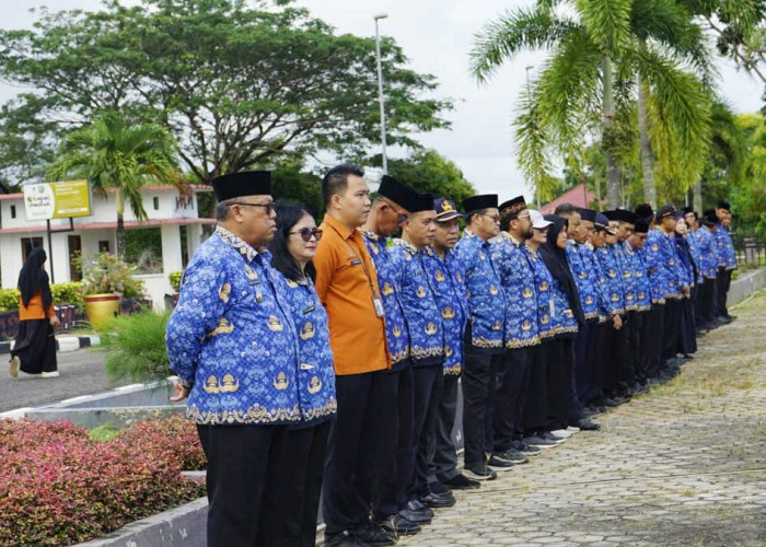 Sensus Ekonomi 2026 Belitung Timur Dimulai, 126 Petugas Data Seluruh Rumah dan Usaha