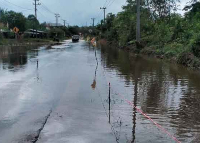 Jalan Suka Damai Desa Sukamandi Banjir Lagi, Padahal Beliadi Sudah Wanti-Wanti Singgung PT Timah