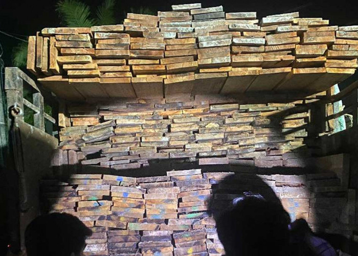 Kasus Dugaan Penyelundupan Kayu Belitung, Polisi Buru Pemasok Kabur dan Telusuri Jaringan