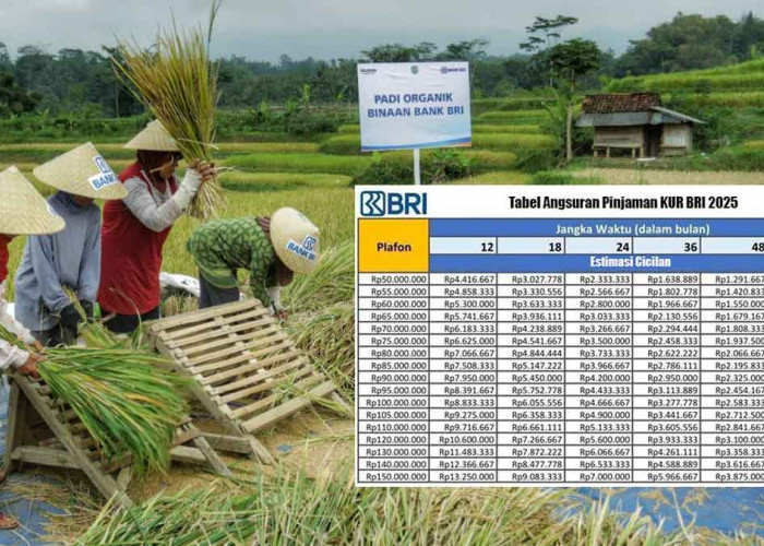 Cara dan Syarat Ajukan KUR BRI 2025 untuk Petani, Pedagang & Nelayan Lengkap dengan Angsuran