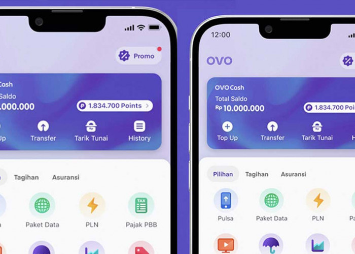 5 Cara Mudah Dapat Uang dari OVO dengan Cepat, Cek Langkahnya di Sini