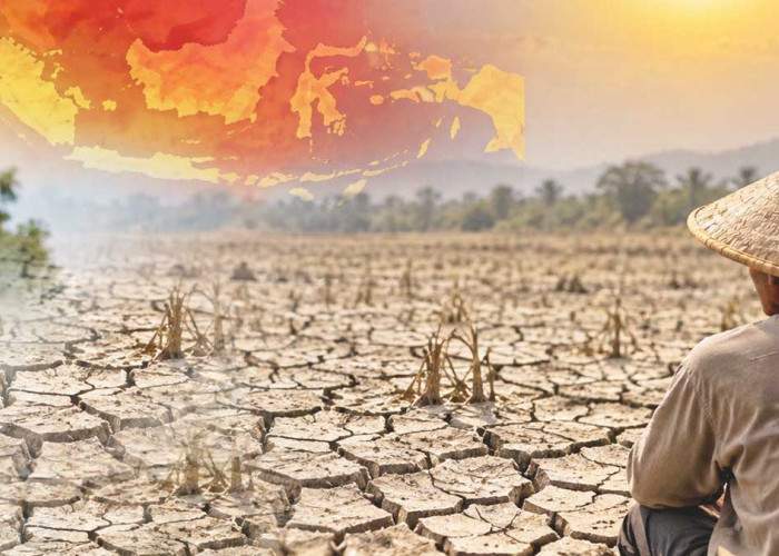 El Nino Sangat Kuat Berlanjut hingga Awal 2027, BMKG Ingatkan Risiko Musim Kering
