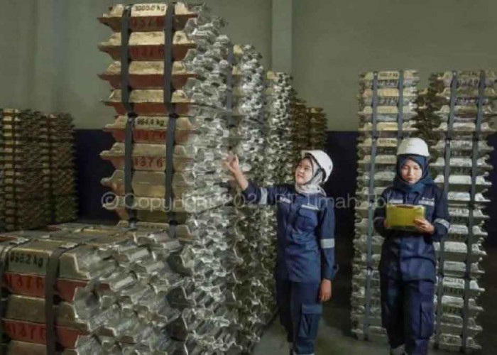 Harga Timah Dunia Terus Meroket, Tembus US$ 32.574 Per Ton