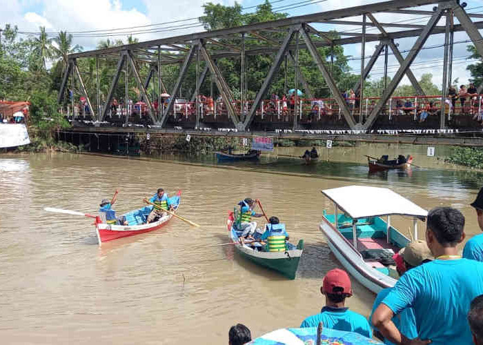 Lomba Perahu Dayung Tradisional Sungai Buding, Kenalkan Wisata Mangrove dan Pulau Keran