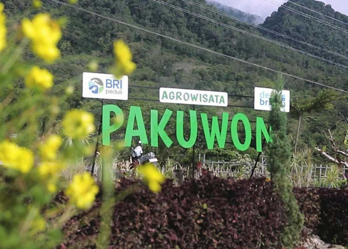 Lewat Desa BRILiaN, Pajambon Kuningan Jadi Contoh Transformasi Ekonomi Berbasis Potensi Lokal