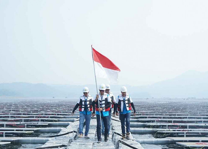 Green Financing BRI Tumbuh Capai Rp89,9 Triliun, Komitmen Dukung Pembangunan Berkelanjutan