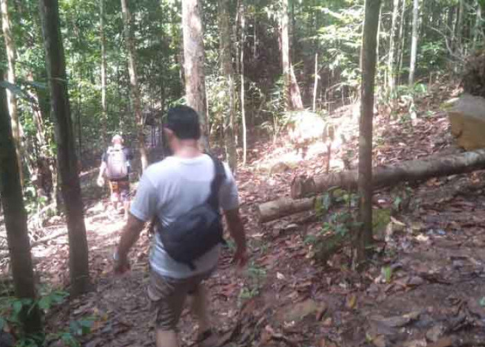 Illegal Logging di HL Gunung Tajam Diduga Dibekingi Oknum, Begini Respon Kapolsek Badau