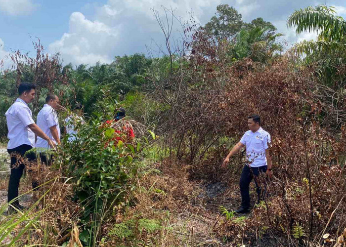 Kasus Pencabulan Anak SD Terbongkar, Teman Korban Pergoki Aksi Pelaku di Kebun