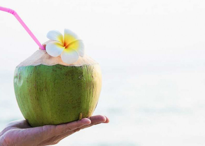 7 Kelompok Orang Tertentu yang Dianjurkan Minum Air Kelapa Muda