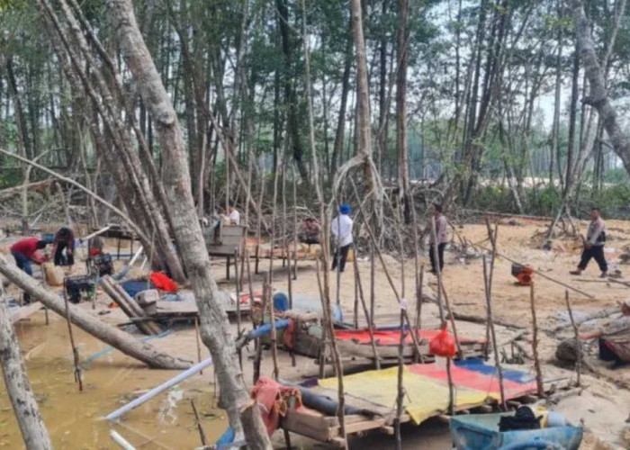 Kisah Penambang Timah Babel, Pilih Jalur Legal Demi Alam dan Keluarga