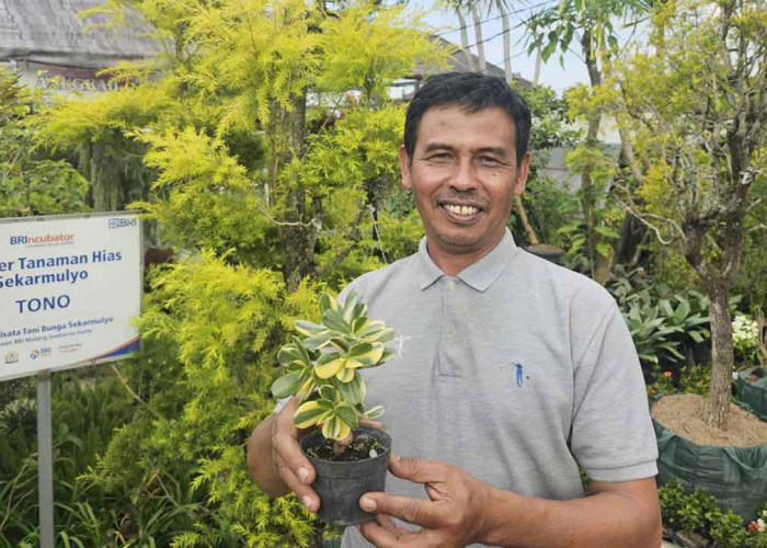 Kisah Klaster Usaha Tanaman Hias Binaan BRI, Kini Sukses Jadi Sumber Nafkah Warga Sekitar