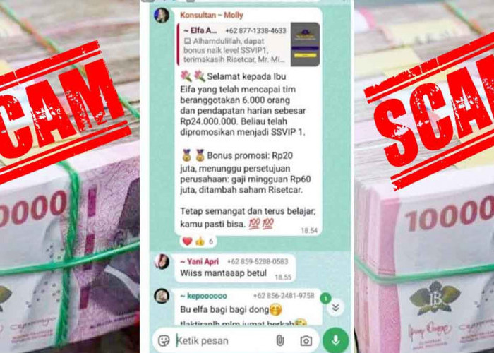 Ribuan Warga Belitung Jadi Korban Investasi RisetCar, Kerugian Diduga Capai Miliaran Rupiah