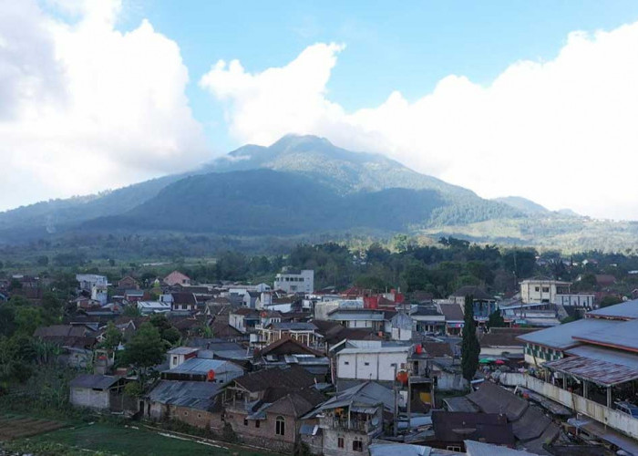 Mengenal Desa BRILiaN Sumowono, Desa Sayur yang Tumbuh dan Inovatif Bersama BRI