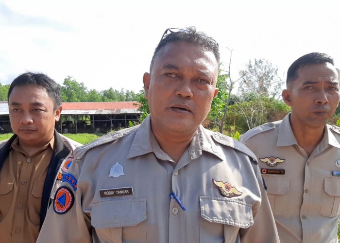 Kebakaran Lahan di Belitung Timur Meningkat Tajam, BPBD Catat 24 Kasus dalam 19 Hari