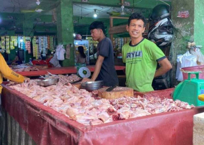 Stok Ayam Ditambah 80 Ton, Harga di Babel Mulai Turun di Tengah Lonjakan Kebutuhan MBG