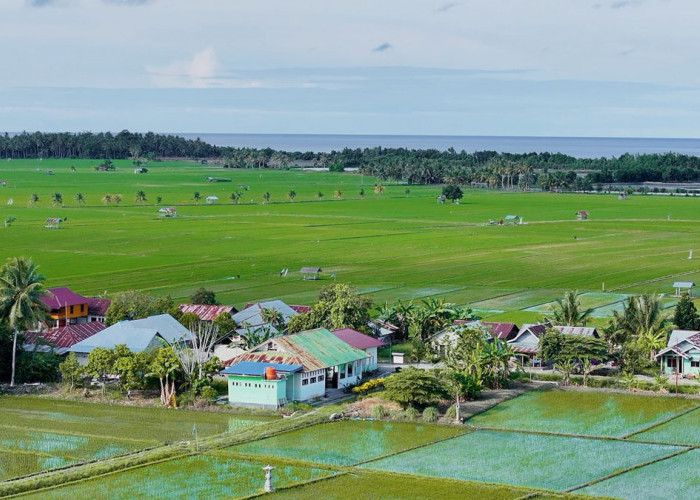 Desa BRILiaN Sausu Tambu Tembus Top 10 Nasional, Ekonomi Pesisir Tumbuh dari Potensi Lokal
