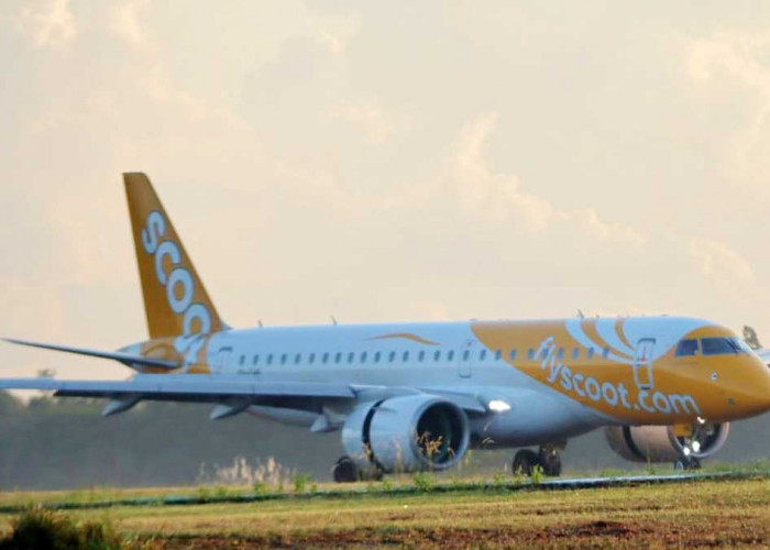 Scoot Resmi Buka Rute Singapura–Belitung, Okupansi Perdana Tembus 80 Persen