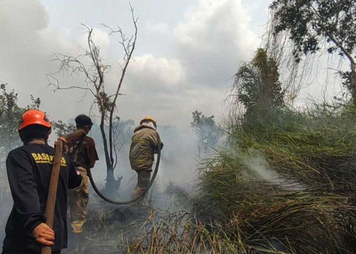 Berjuang Padamkan Karhutla, 5 Petugas BPBD Beltim Tumbang Akibat Asap Pekat