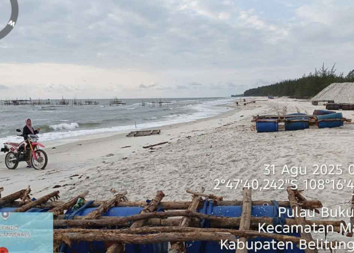 Tegas! AMPB Bakal Laporkan Tambang Timah Ilegal di IUP PT Timah Blok Olivier ke Polres Beltim