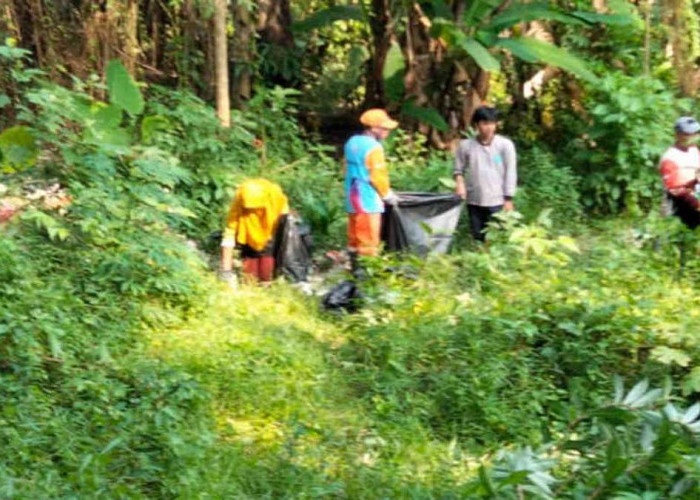 Sampah Liar di Jurang Pangkalalang Dibersihkan, Aduan Warga Langsung Ditindaklanjuti
